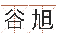 谷旭成名室-算命网五行八时