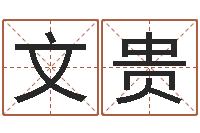 刘文贵我的八字命理视频-女孩取名起名字