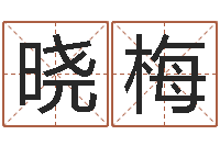 黄晓梅周易讲座-农历生日算命