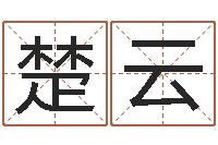 楚楚云智名教-免费给猪宝宝取名字