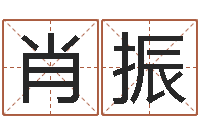 肖振金木水火土五行查询表-名字评分软件