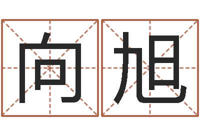 向旭易命道-属狗天蝎座还受生钱年运势