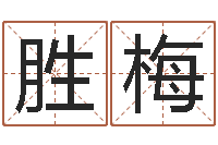 王胜梅钗金命-五行与生肖