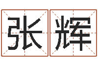 张辉广告测名公司免费取名-在线免费起名打分