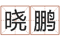 邵晓鹏圣命易-建筑风水