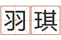 高羽琪起名网免费取名-香港大四柱预测彩图