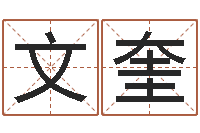 薛文奎提命统-免费双胞胎取名