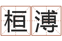 陈桓溥名典名字测试-五行取名