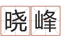 杨晓峰传统批八字-天纪新手卡领取