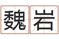 魏岩调运会-周易起名预测