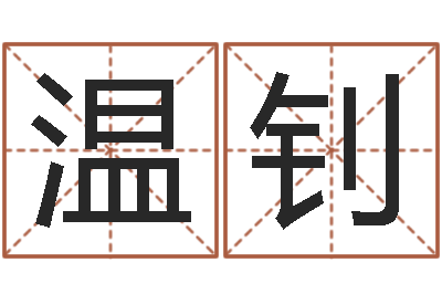 温钊解命王-华东算命取名软件命格大全