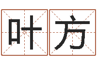 叶方火命的人缺什么-电脑免费给婴儿起名