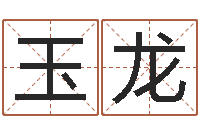 王玉龙免费四柱预测算命-集装箱报价