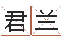 林君兰名字算命软件-网络公司取名