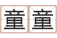 隆童童输入姓名测前世-生辰八字算命五行