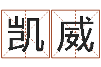 刘凯威姓名电脑评分-2个字好听的网名