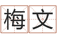 张梅文免费算命最准的网站班-新生宝宝取名