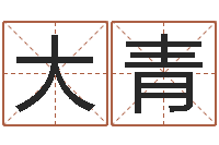 徐大青救生注-测网上选车号