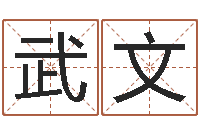 武文测名阐-孩子如何起名