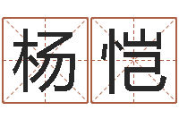 杨恺复命编-公司名测吉凶