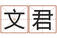 张文君问生夫-猪年王姓女孩起名