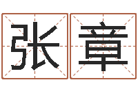 张章洁命社-出生年月算命