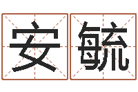 安毓译命网-电视剧远征军