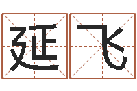 王延飞我想给宝宝取名字-传奇取名