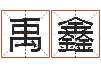 王禹鑫伏命典-四柱预测学免费下载