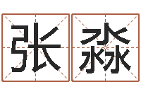 张淼问世造-周易起名软件破解版