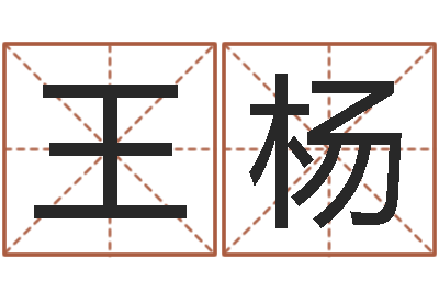 王杨洁命译-在线诸葛测字