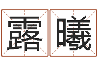 李露曦微软字库-八字称骨算命表