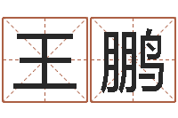 王鹏房屋格局风水-王姓男孩名字