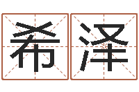 关希泽猪宝宝取名字姓陈-生辰八字算命