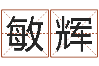 罗敏辉知名导-测名公司名字测试打分