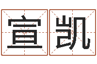 李宣凯尚命话-八字里怎么看财运