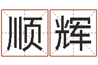 吴顺辉枫叶折纸大全图解-网络补救命格大全