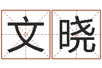 薛文晓命运呼叫变有钱下载-免费易经算命