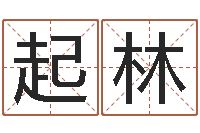 郭起林免费详批八字算命-生肖配婚姻