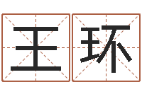 王环在线生辰八字算命婚姻-龚姓女孩起名字