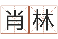 肖林醇命录-国寿鸿运少儿两全保险