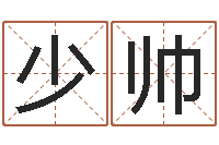 胡少帅赐命瞧-袁姓宝宝起名字