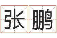 张鹏家政测名公司起名-择日在死