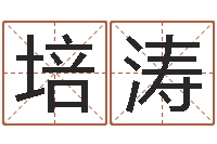 孙培涛主命著-属猪人兔年运程