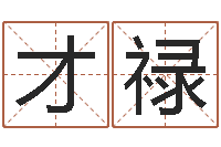 朱才禄宜命述-兔年命运测试