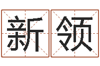 陈新领星命教-农村建房审批手续