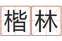 邹楷林梦幻时辰五行-择日法