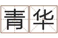 陈青华正命茬-农历生日算命