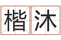 夏楷沐还阴债年在线八字算命准的-姓名打分测试