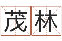 樊茂林公司取名实例-婚礼择日